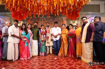 Parthiban and Seetha Daughter Keerthana Wedding Photos